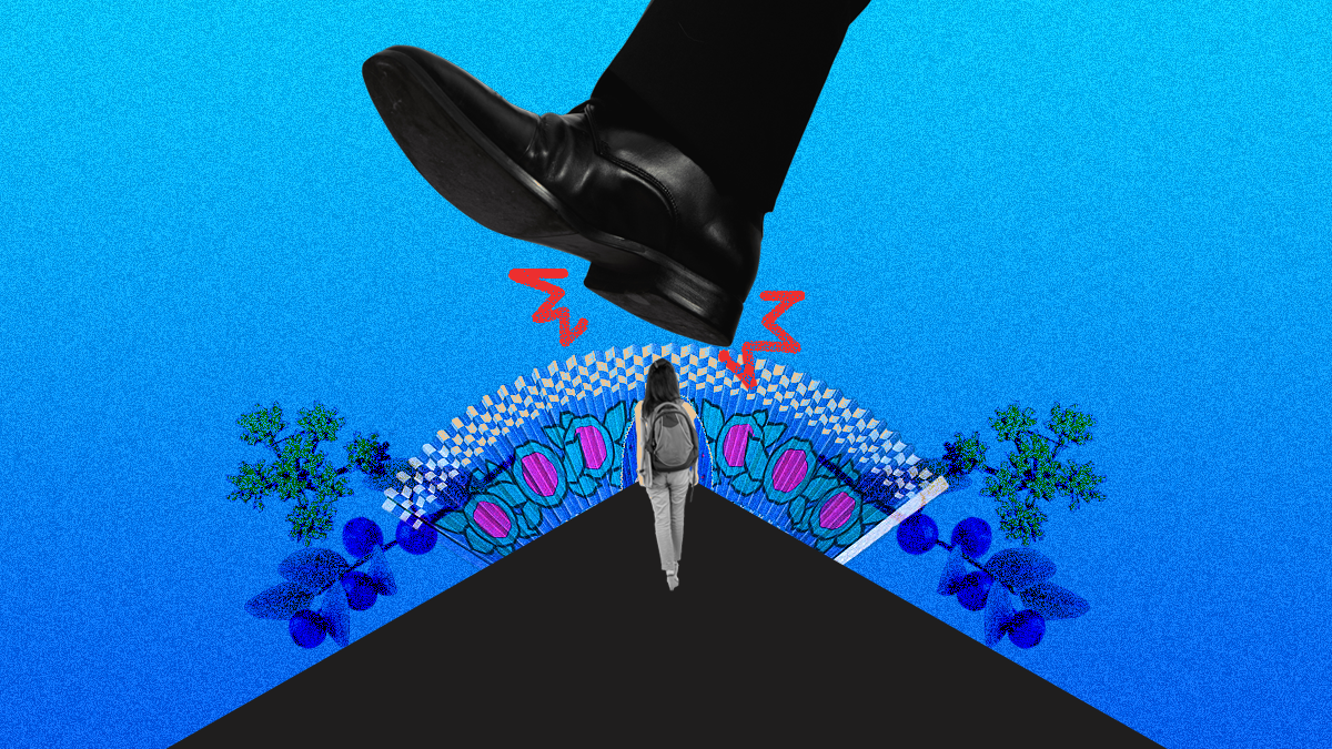 DEI isn’t a Handout. For Some Students, it’s a Lifeline.
